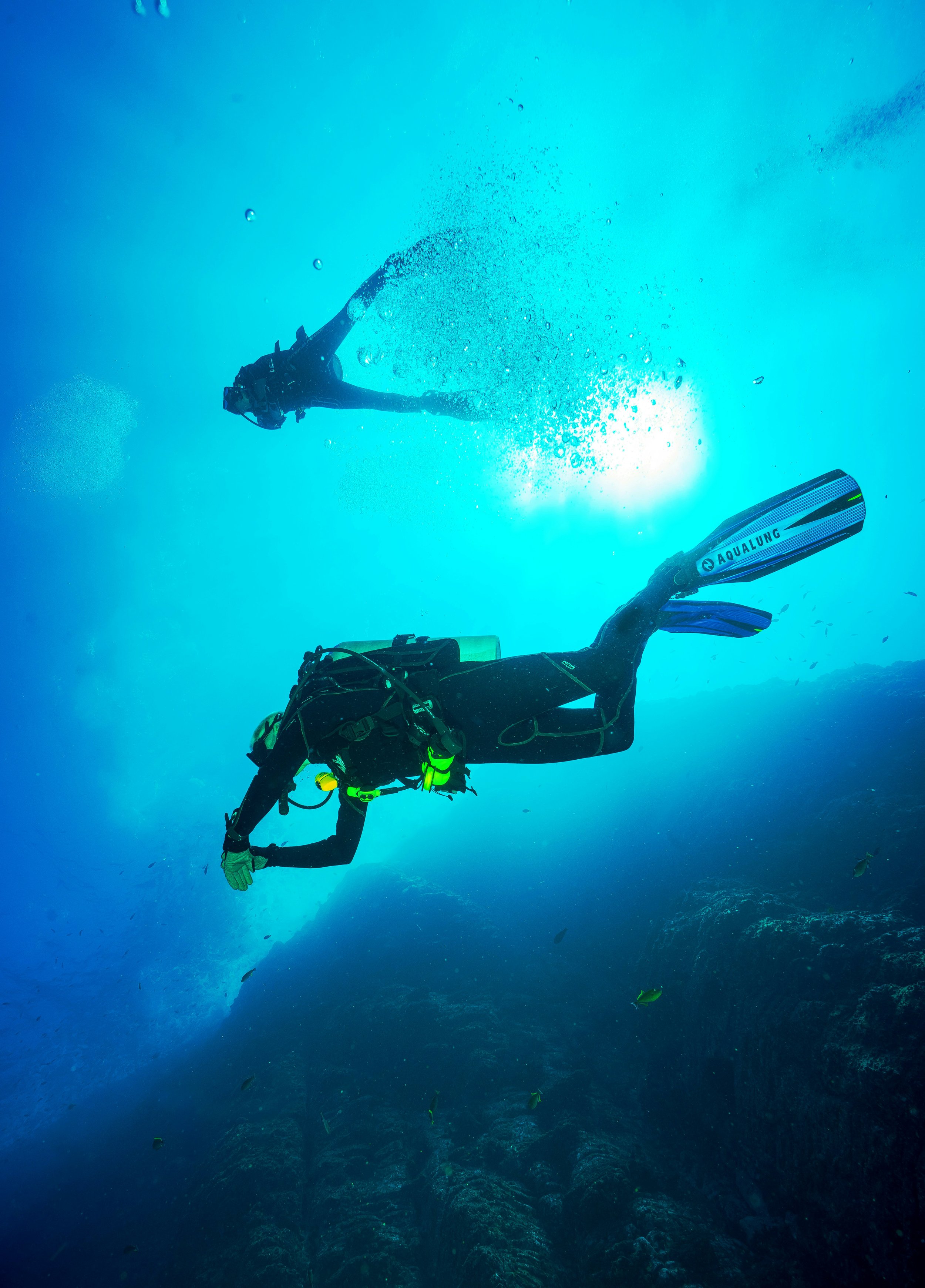Beginner diver descending beside a coral reef in the Red Sea