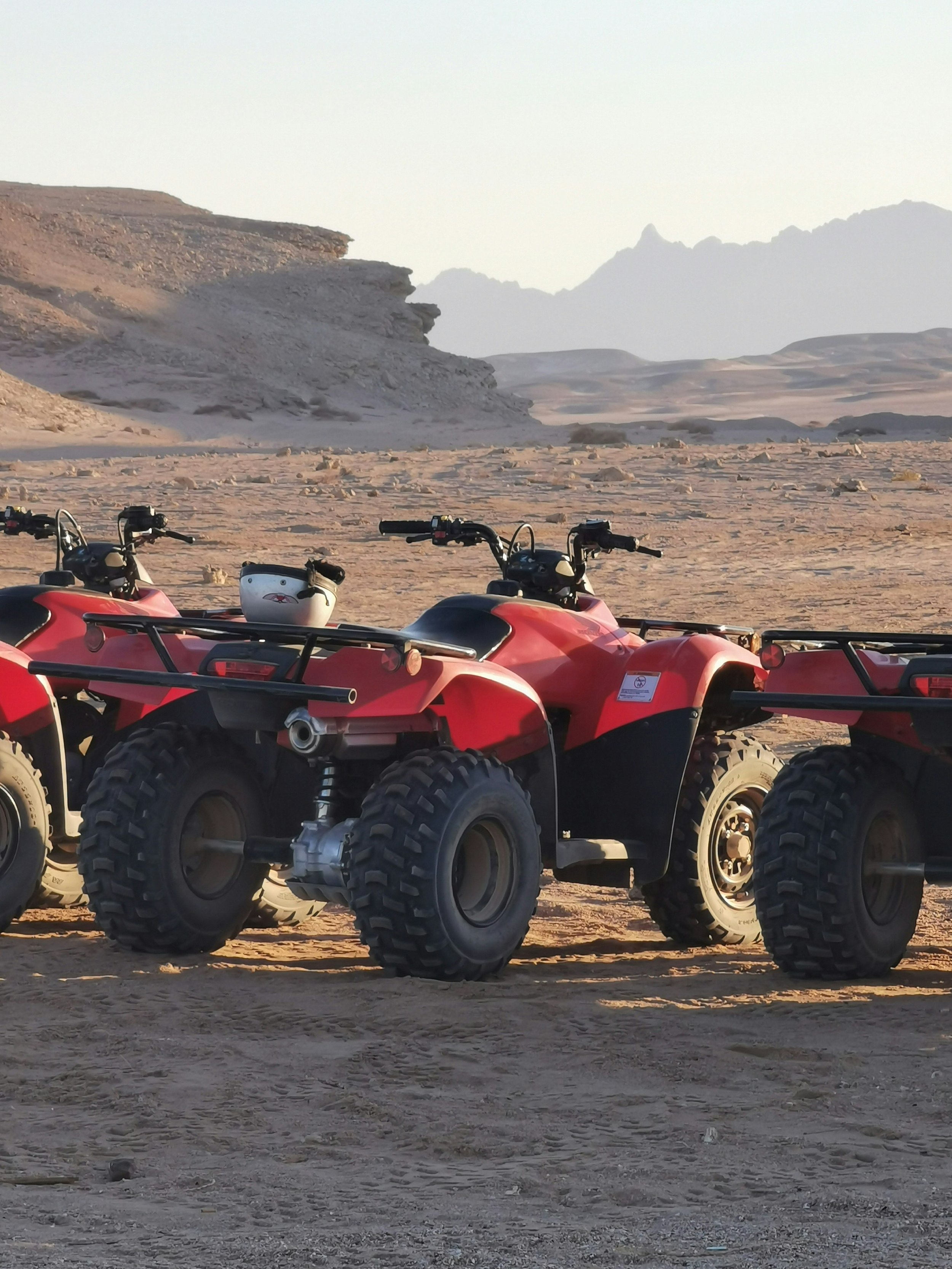 Day Trips (In Hurghada)