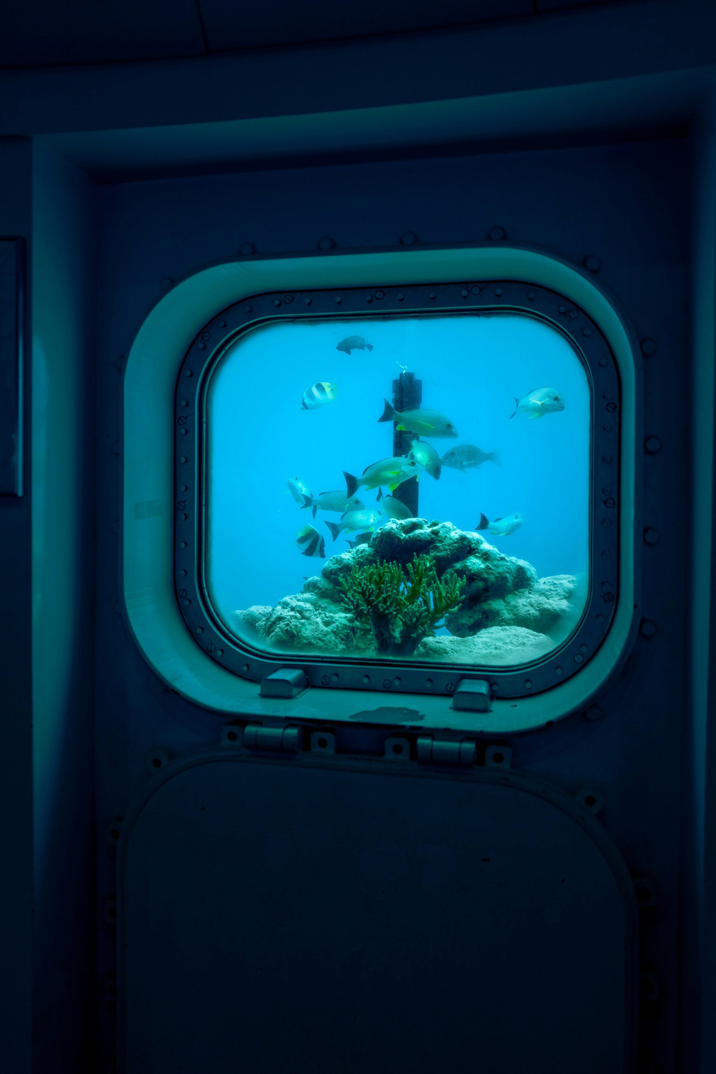 Semi-submarine vessel with underwater viewing windows on the Red Sea